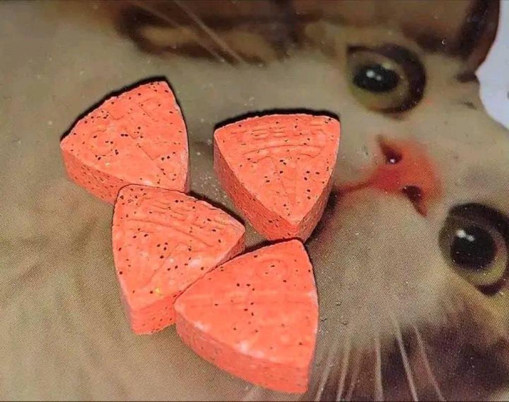 Escort available and drugs available for sell